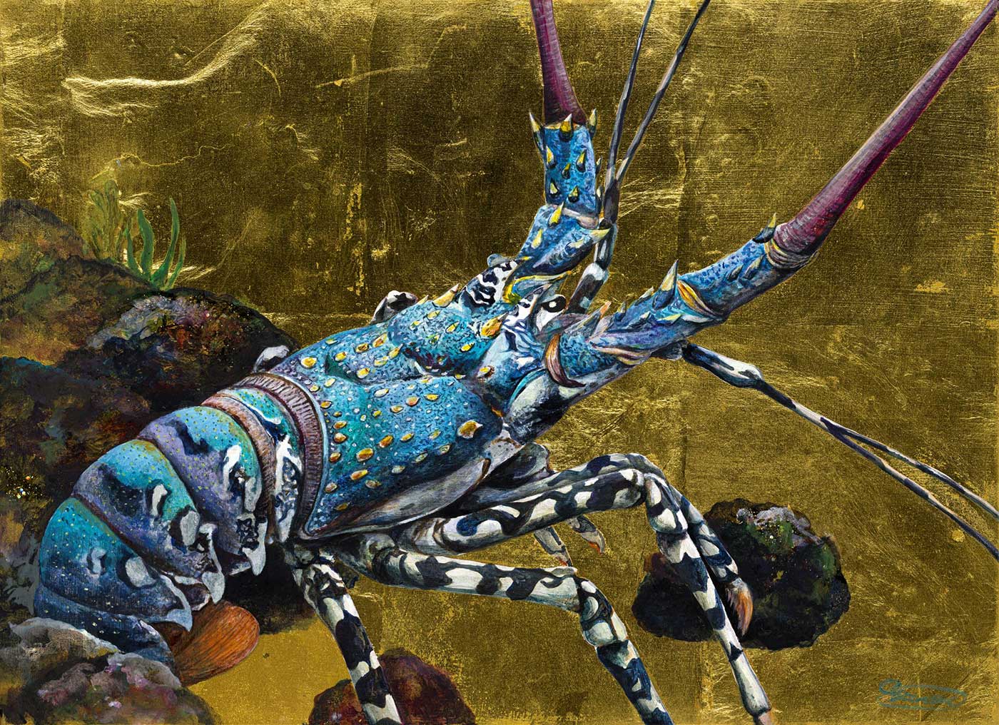 Spiny Lobster Ayano Omura Mall Galleries