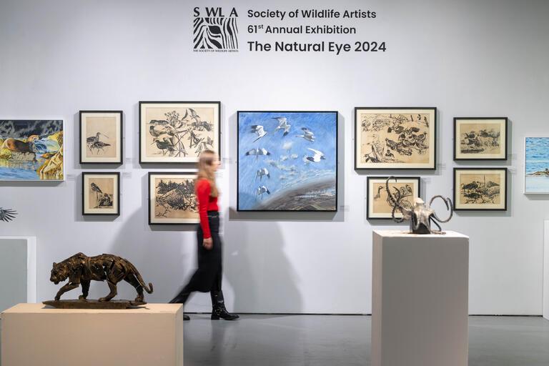 Installation image of the Society of Wildlife Artists Paintings and Sculptures