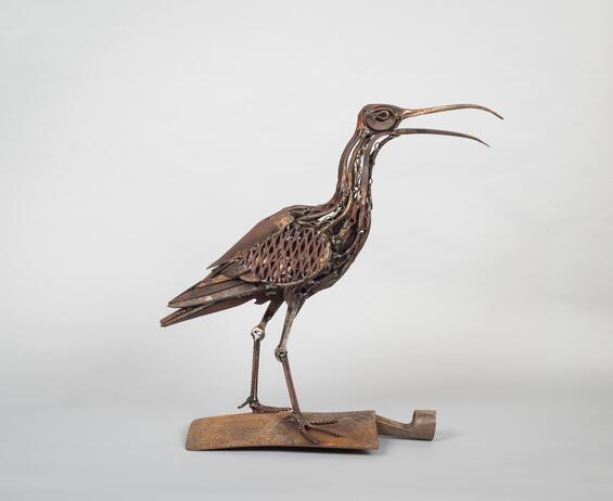 Mead Harriet Calling Curlew jpg