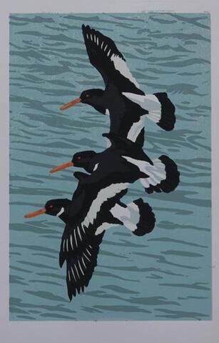 Oystercatcher trio