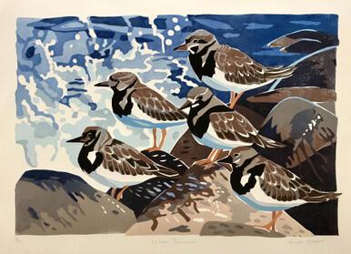 Winter Turnstones