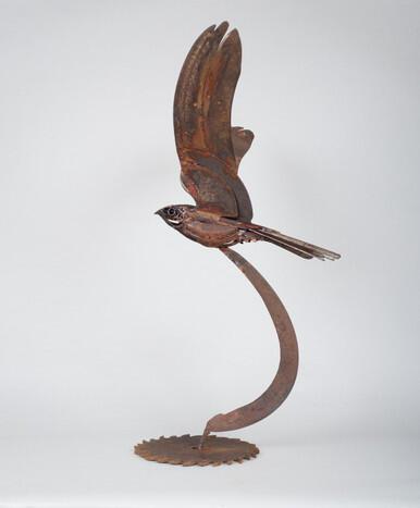 Harriet Mead, Flying Nightjar