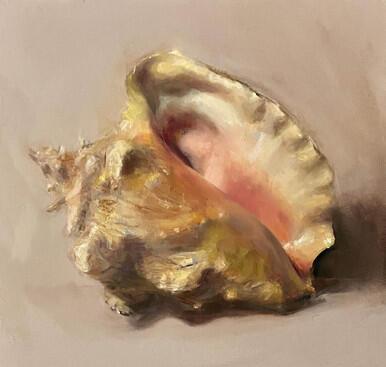 Conch Shell