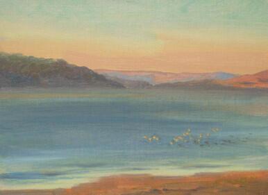 Flock at dusk over the Dyfi Estuary