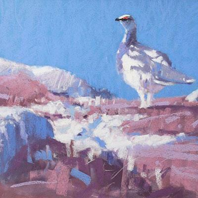 Square-Threlfall-John-Ptarmigan.jpg