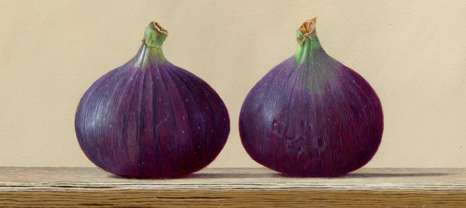 Painting of two figs