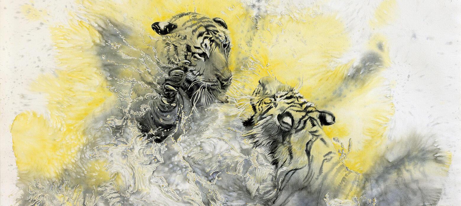 Frolicking Wild Tigers