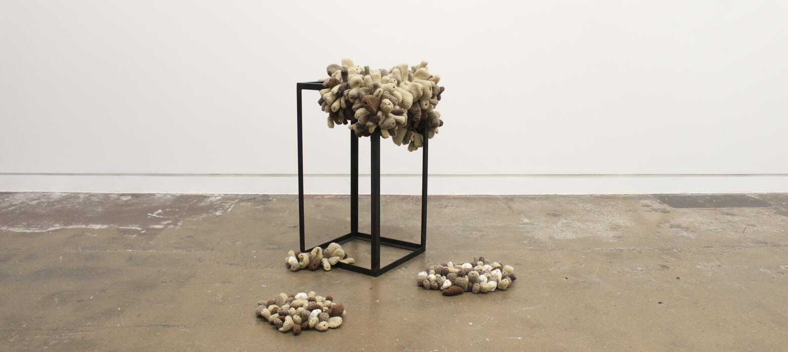 Eve Harker - Barnacles.JPG