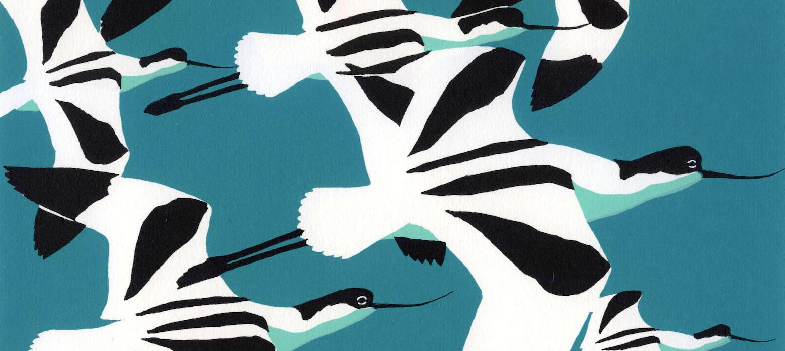 Robert Gillmor, Avocet fly past