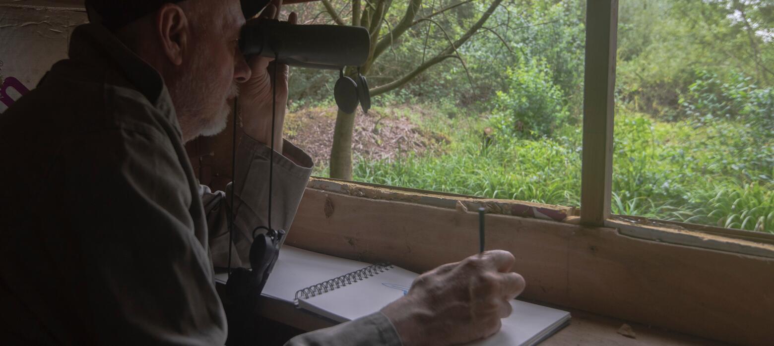 Image of Andrew Haslen using binoculars to watch wildlife and sketch