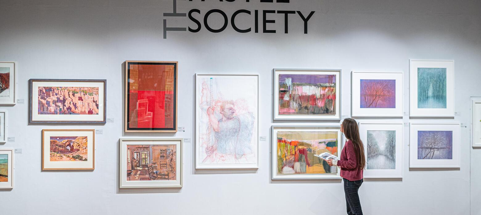 Lady looking at artwork on wall of Pastel Society exhibition