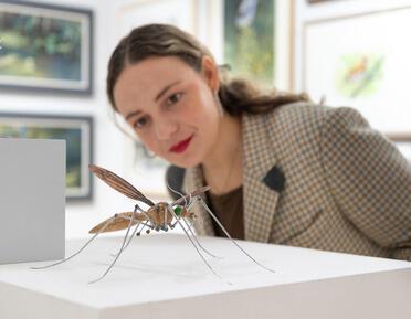 photo of woman looking at a sculpture of an insect