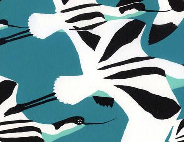 Robert Gillmor, Avocet fly past