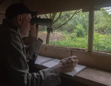 Image of Andrew Haslen using binoculars to watch wildlife and sketch