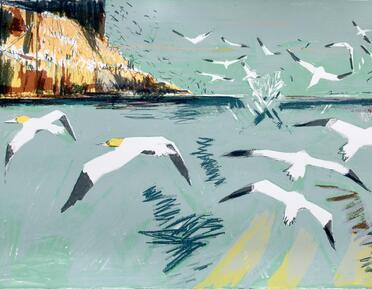 Kittie Jones Gannets around the Bass flying along the coastline