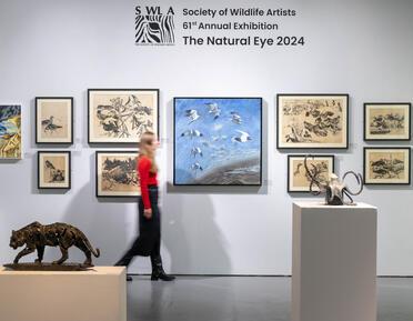 Installation image of the Society of Wildlife Artists Paintings and Sculptures